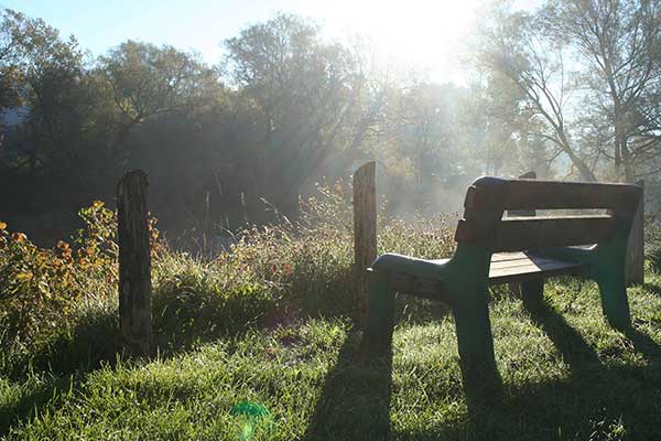 Kevin Land bench image